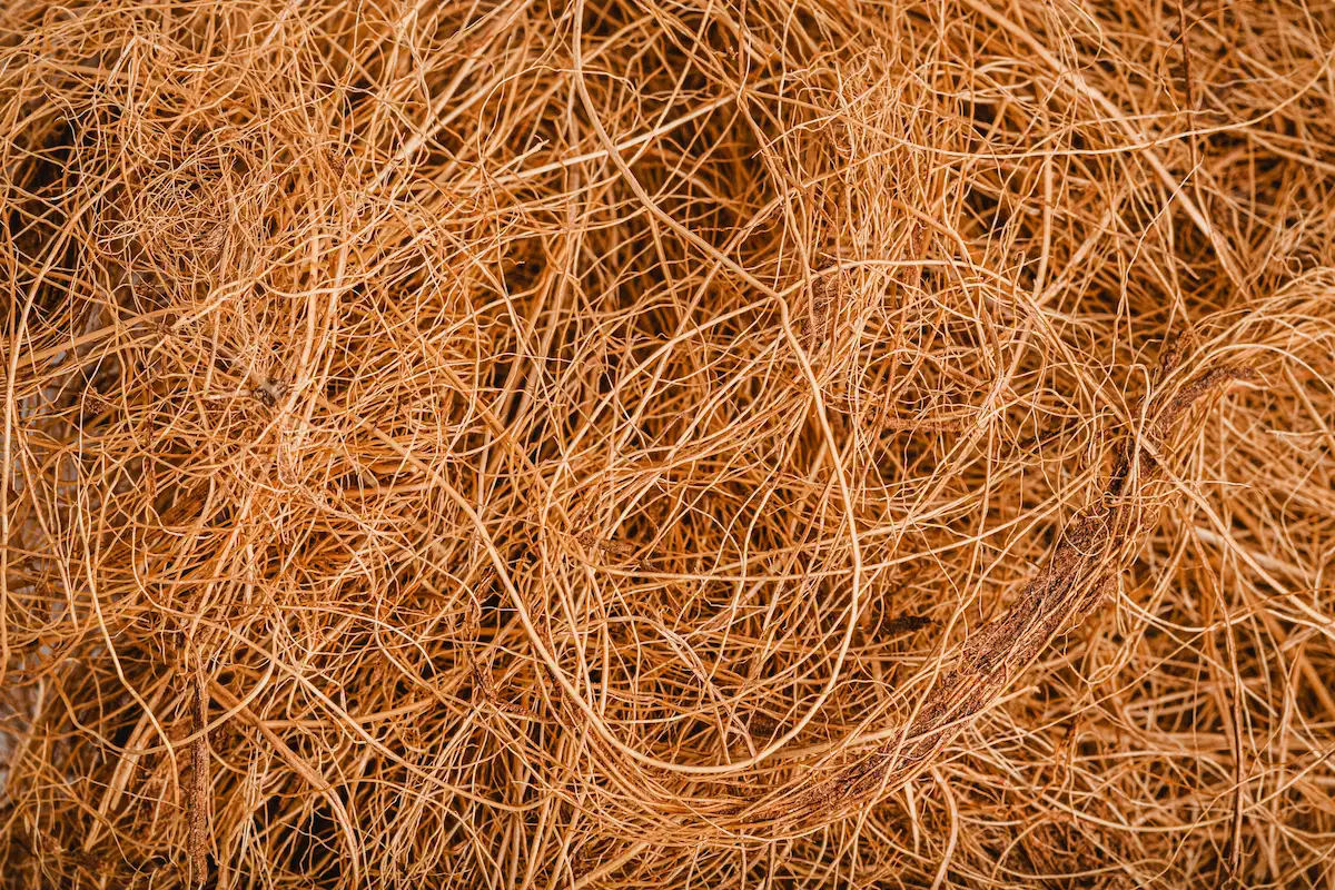 Loose coir fiber material for bulk supply